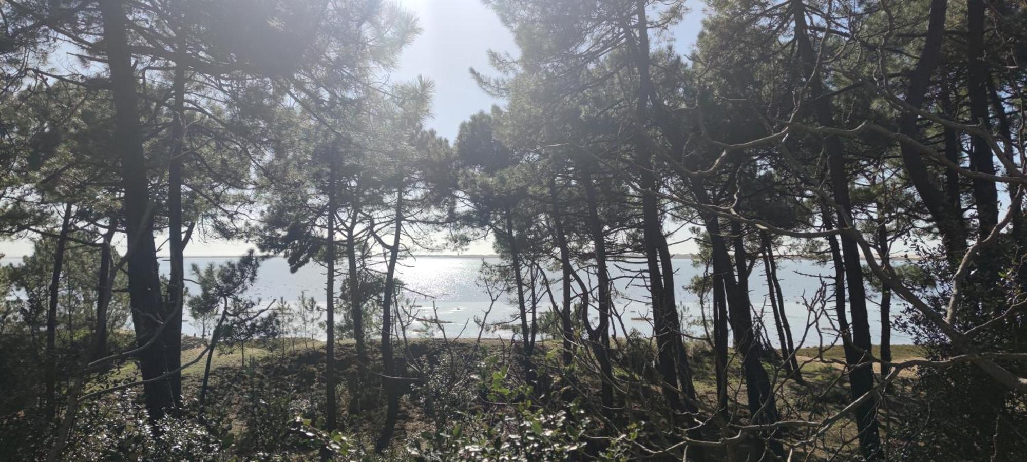 Mobil-Home - Camping Siblu Bonne Anse Plage Les Mathes Dış mekan fotoğraf